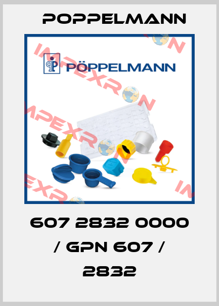 607 2832 0000 / GPN 607 / 2832 Poppelmann