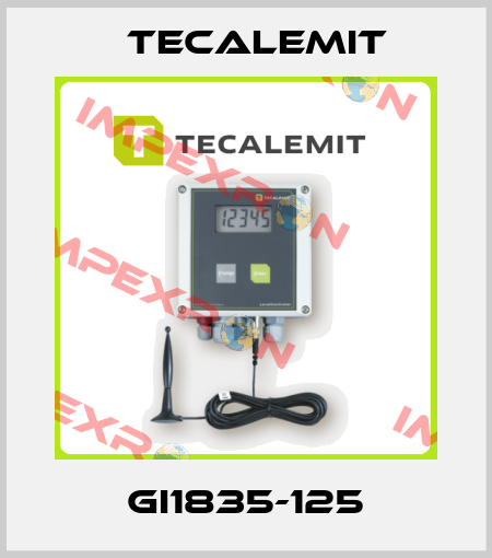 GI1835-125 Tecalemit