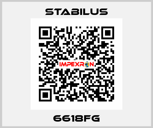 6618FG Stabilus
