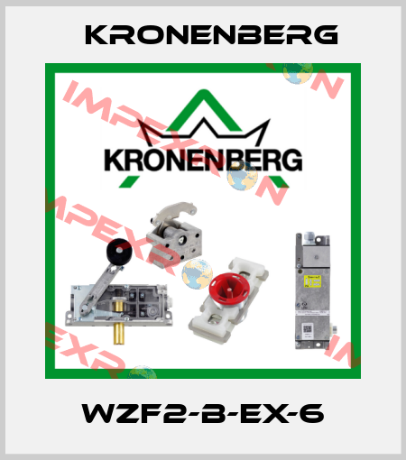 WZF2-B-EX-6 Kronenberg
