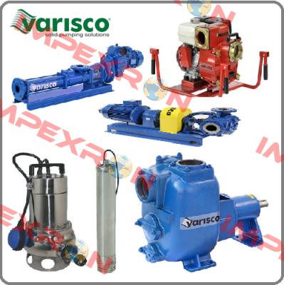 10032857 Varisco pumps