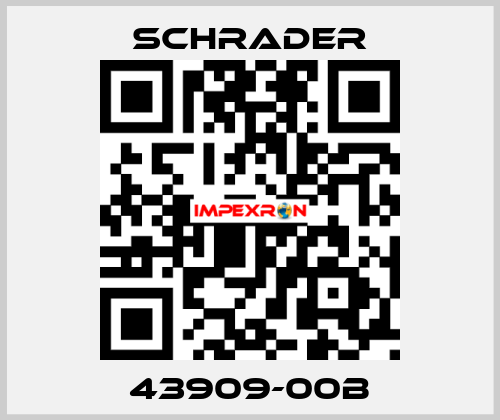 43909-00B Schrader