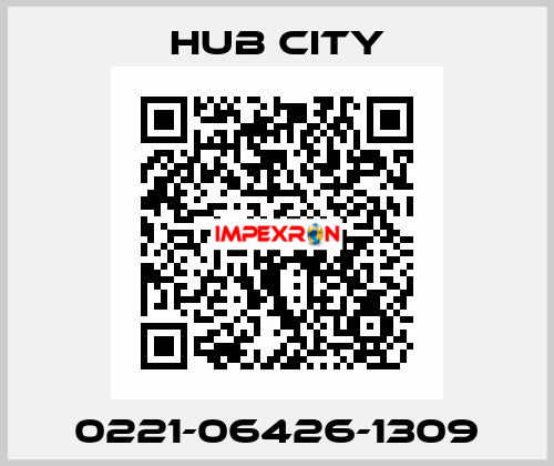 0221-06426-1309 Hub City