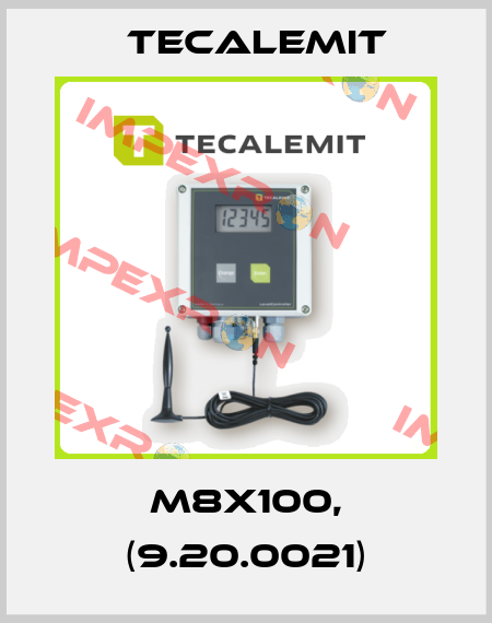 M8x100, (9.20.0021) Tecalemit
