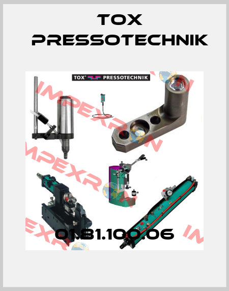 01.81.100.06 Tox Pressotechnik