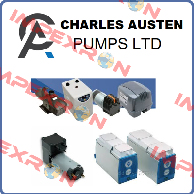 X35-063 Charles Austen Pumps