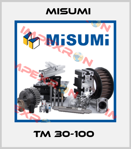 TM 30-100  Misumi