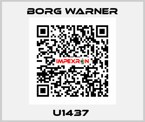 U1437  Borg Warner
