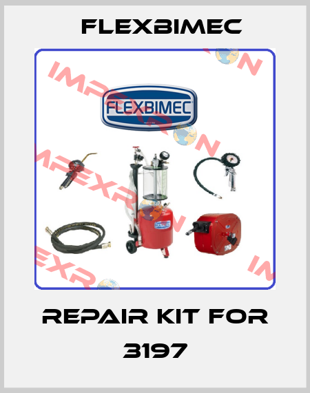 Repair kit for 3197 Flexbimec