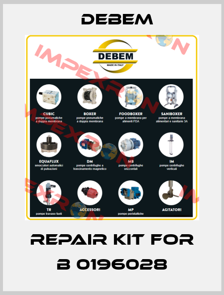 Repair kit for B 0196028 Debem