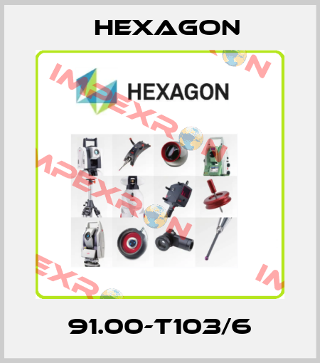 91.00-T103/6 Hexagon
