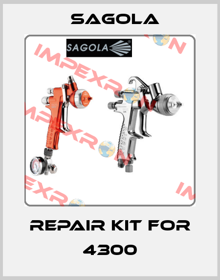repair kit for 4300 Sagola