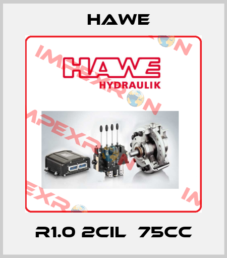 R1.0 2CIL  75cc Hawe