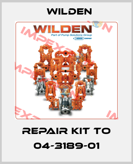 repair kit to 04-3189-01 Wilden