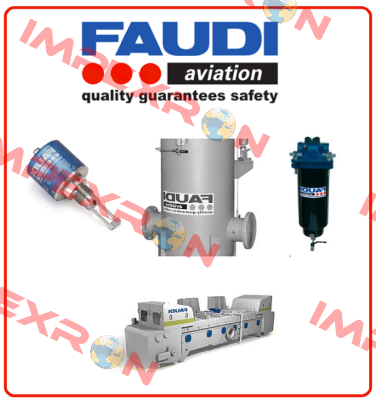 29100064 / FW9-S 842 V FAUDI