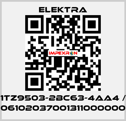 1TZ9503-2BC63-4AA4 / 06102037001311000000 ELEKTRA