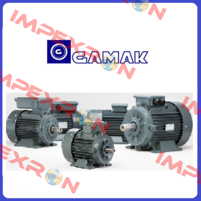 roller bearing on the output shaft for GMM2E 315L4e Gamak