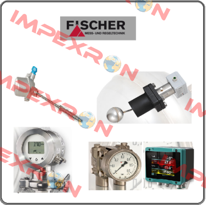 DS21010A23BK Fischer Mess Regeltechnik