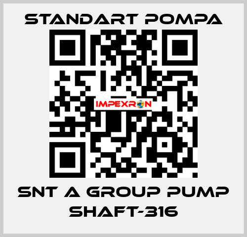 SNT A GROUP PUMP SHAFT-316 STANDART POMPA