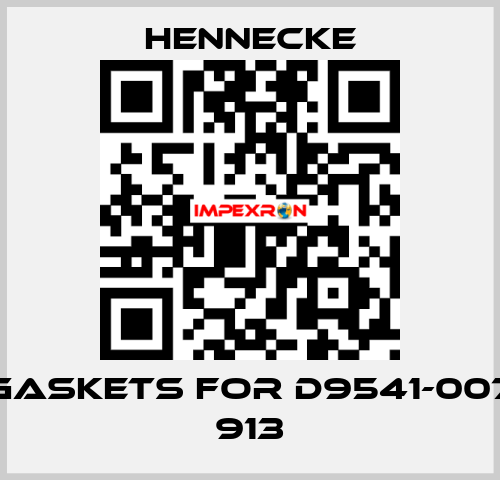 gaskets for D9541-007 913 Hennecke