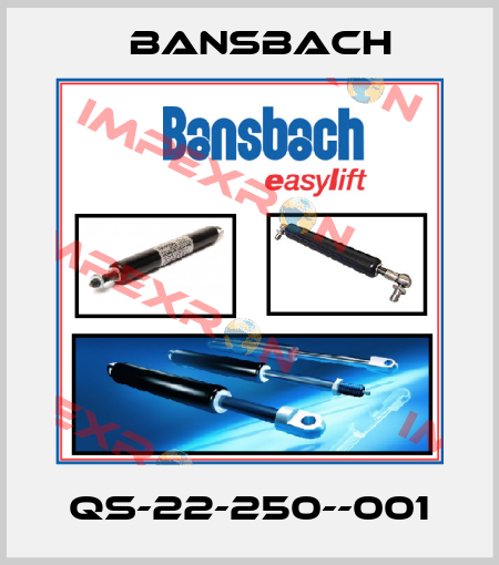 QS-22-250--001 Bansbach