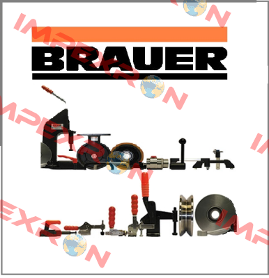 RPP 2 Brauer