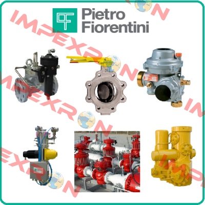 guide rings for Reflux 819 Pietro Fiorentini