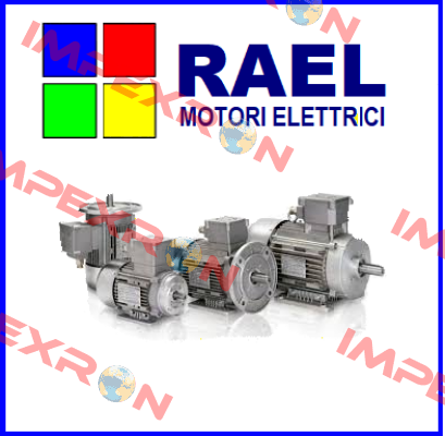 01725  RAEL MOTORI ELETTRICI