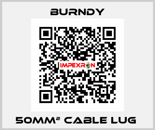 50mm² cable lug  Burndy