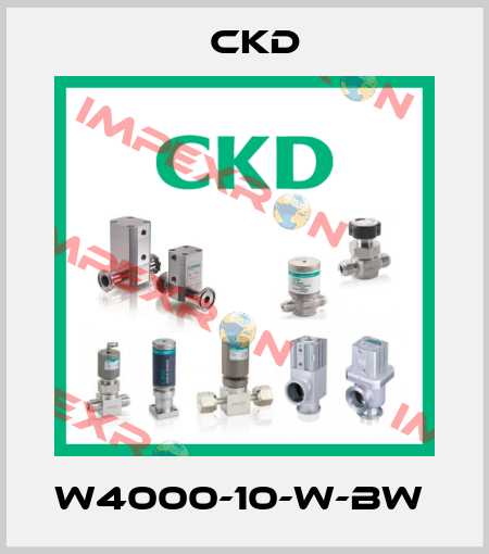 W4000-10-W-BW  Ckd