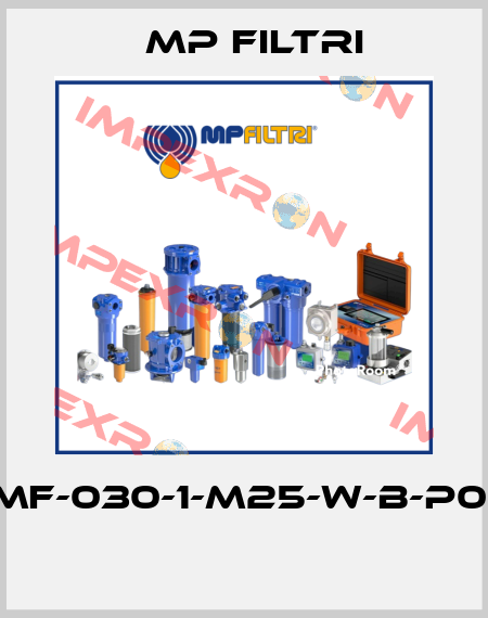 MF-030-1-M25-W-B-P01  MP Filtri