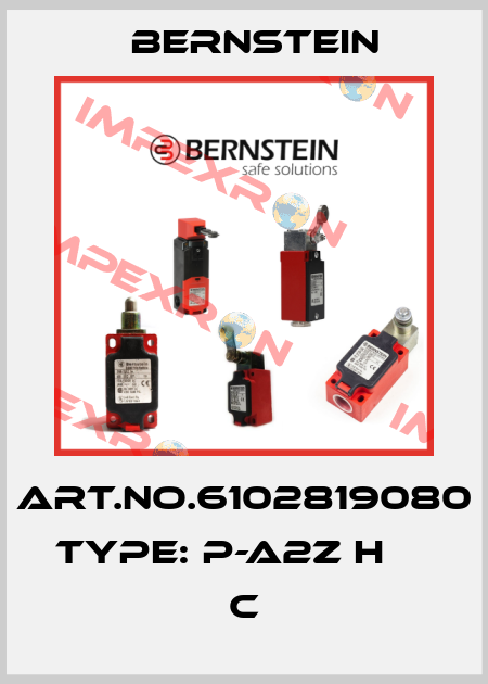 Art.No.6102819080 Type: P-A2Z H                      C Bernstein