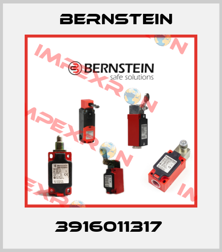 3916011317  Bernstein