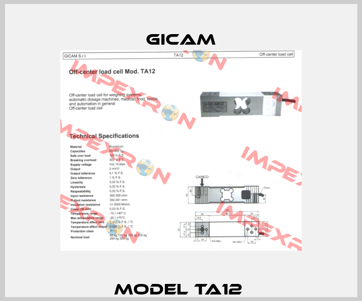 Model TA12  Gicam