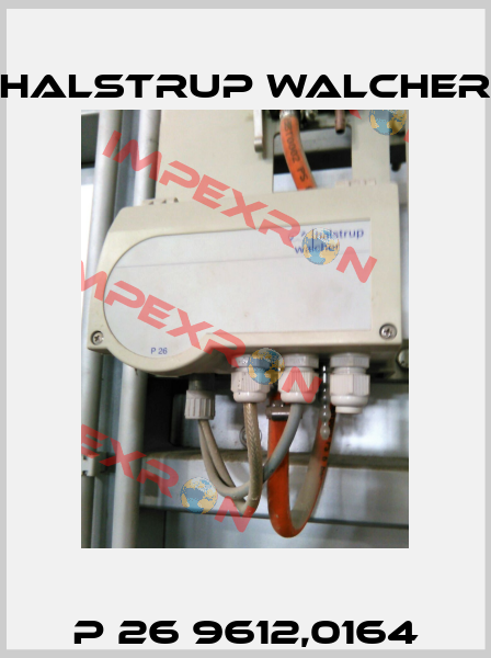 P 26 9612,0164 Halstrup Walcher
