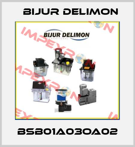 BSB01A03OA02 Bijur Delimon