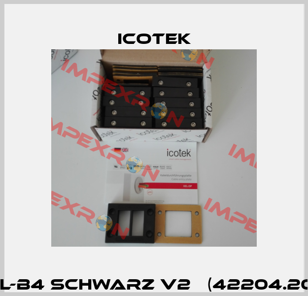 KEL-B4 schwarz V2А (42204.200) Icotek