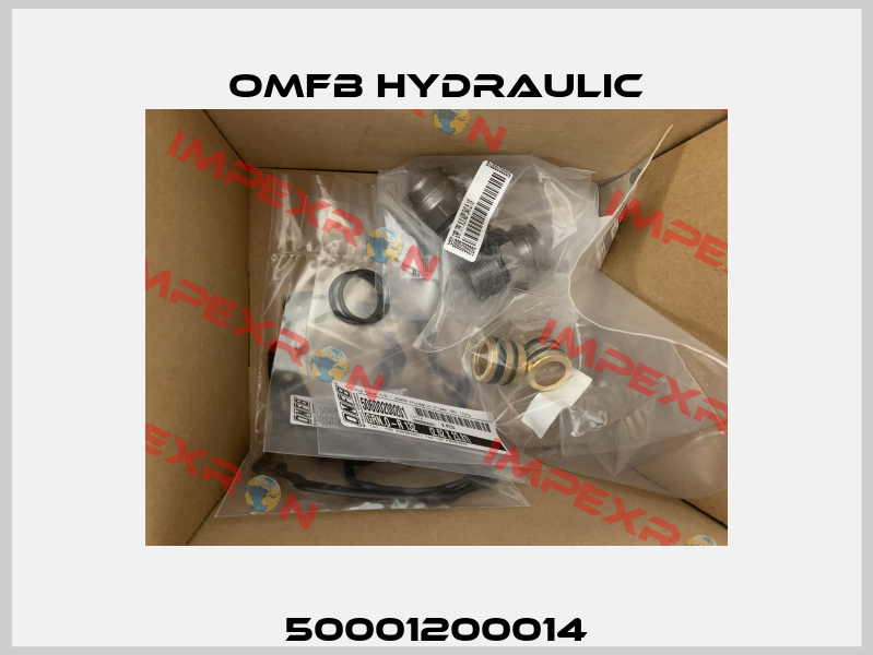 50001200014 OMFB Hydraulic