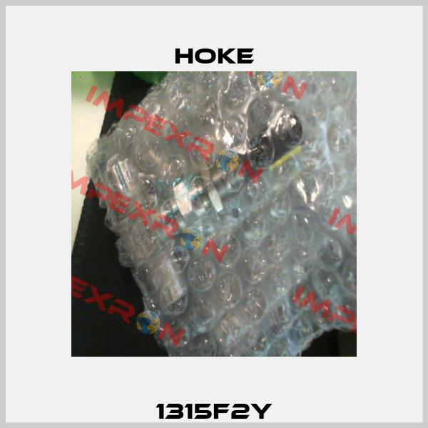 1315F2Y Hoke