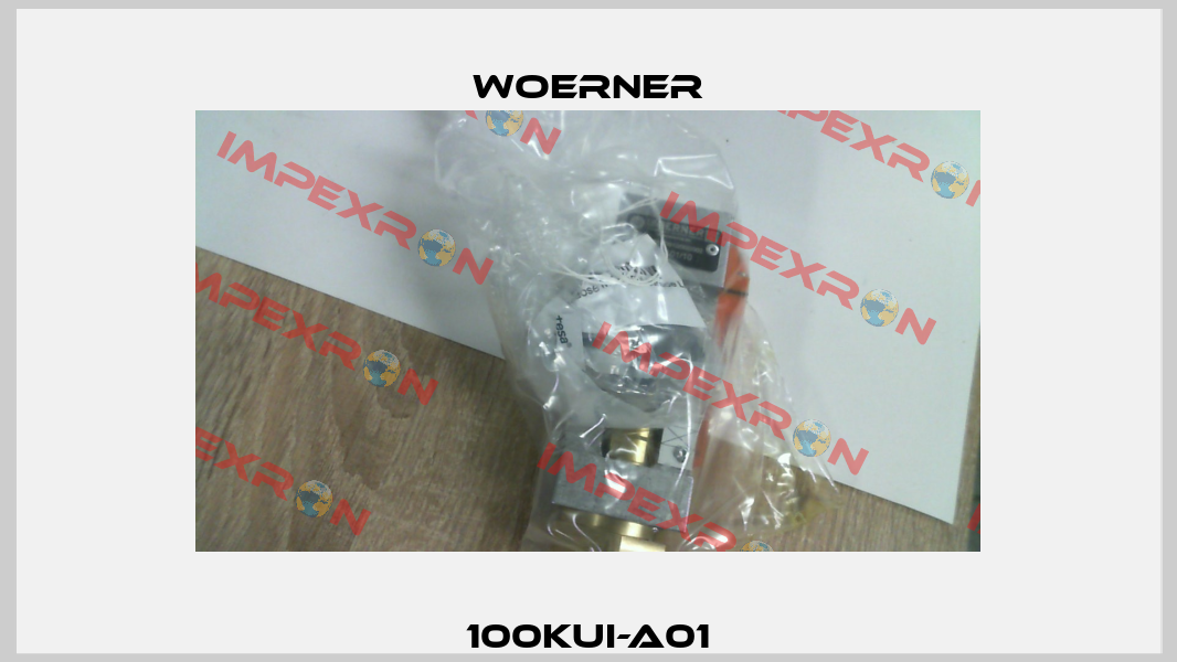 100KUI-A01 Woerner